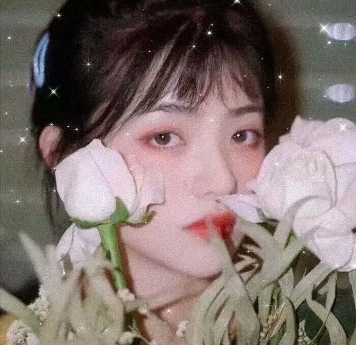 推荐 罗小黑战记